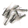 10pcs Lure Artificial Lure With Hook; Small Gray Fish Simulation Soft Bait